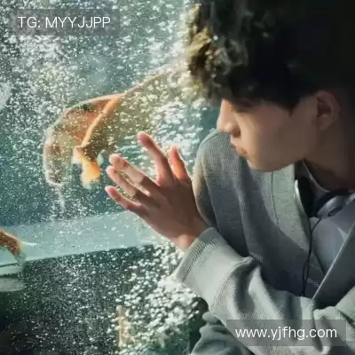 明锦柳